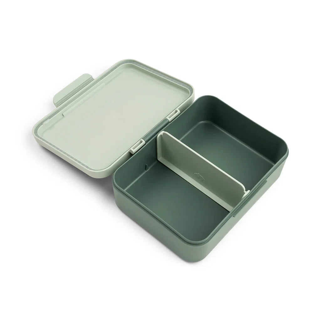 Lunch Box with Divider – Tiny Trails - Done by Deer