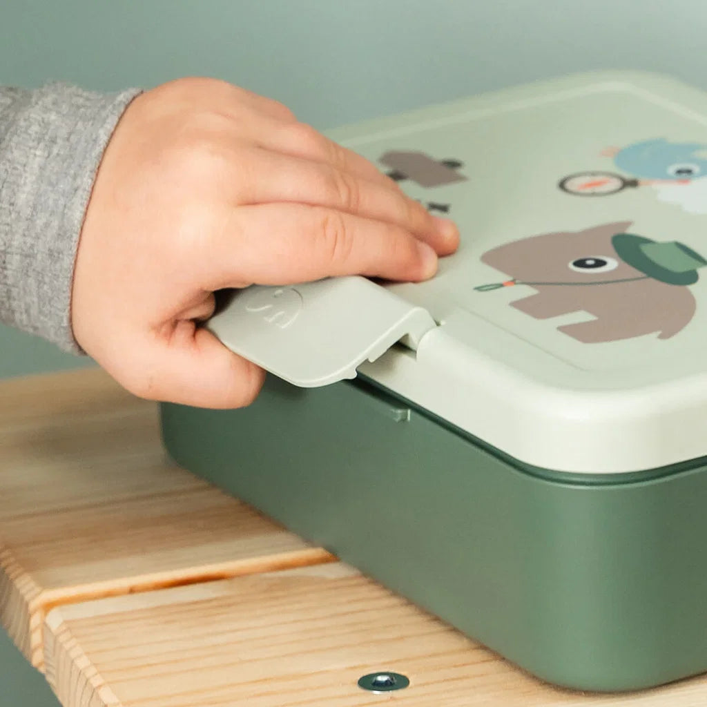 Lunch Box with Divider – Tiny Trails - Done by Deer