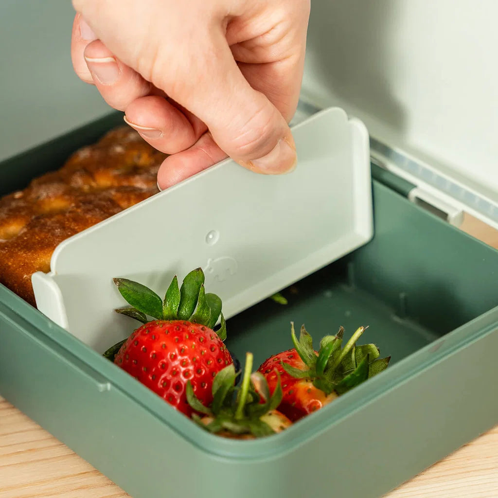 Lunch Box with Divider – Tiny Trails - Done by Deer