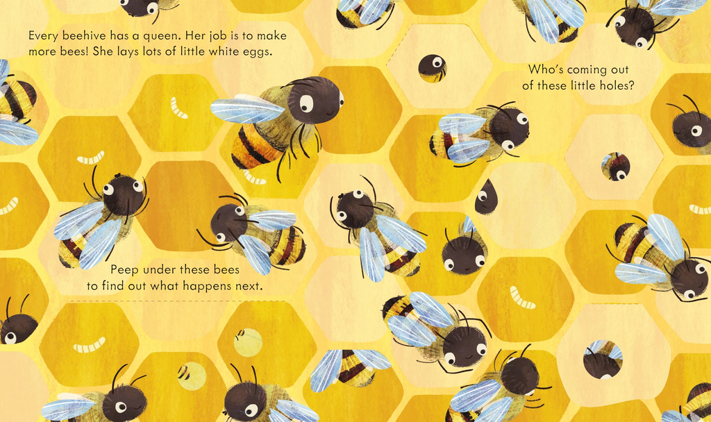 Peep Inside a Beehive - Usborne