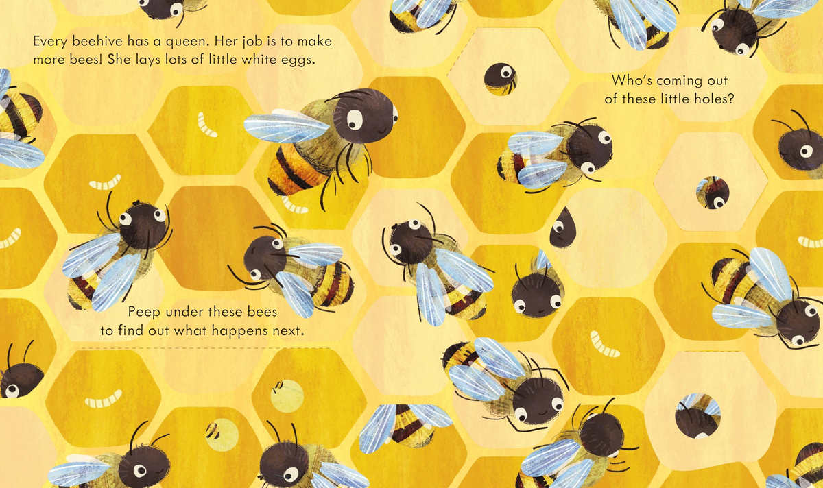 Peep Inside a Beehive - Usborne
