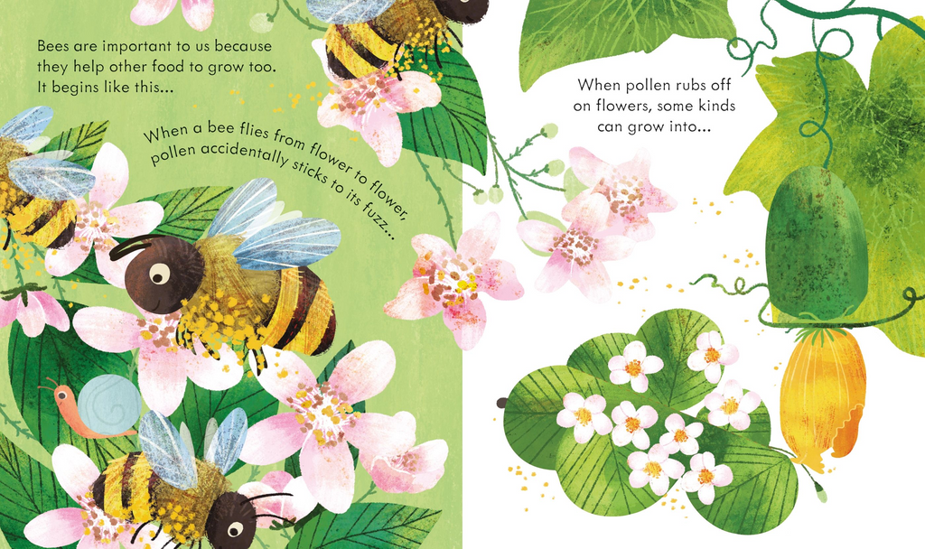 Peep Inside a Beehive - Usborne