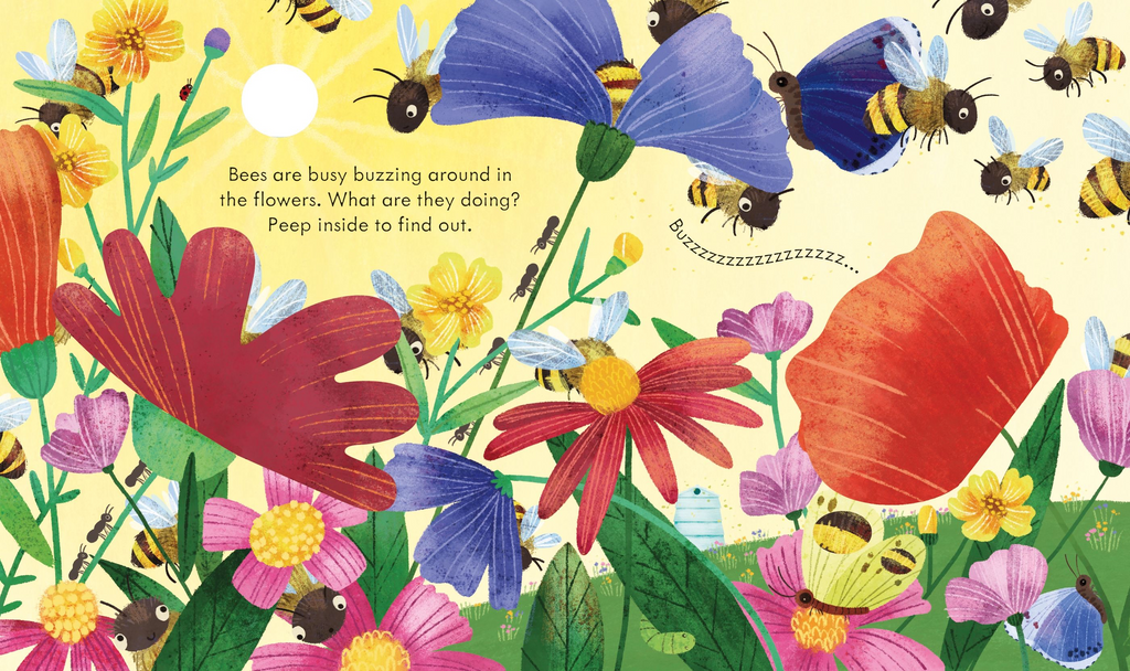 Peep Inside a Beehive - Usborne