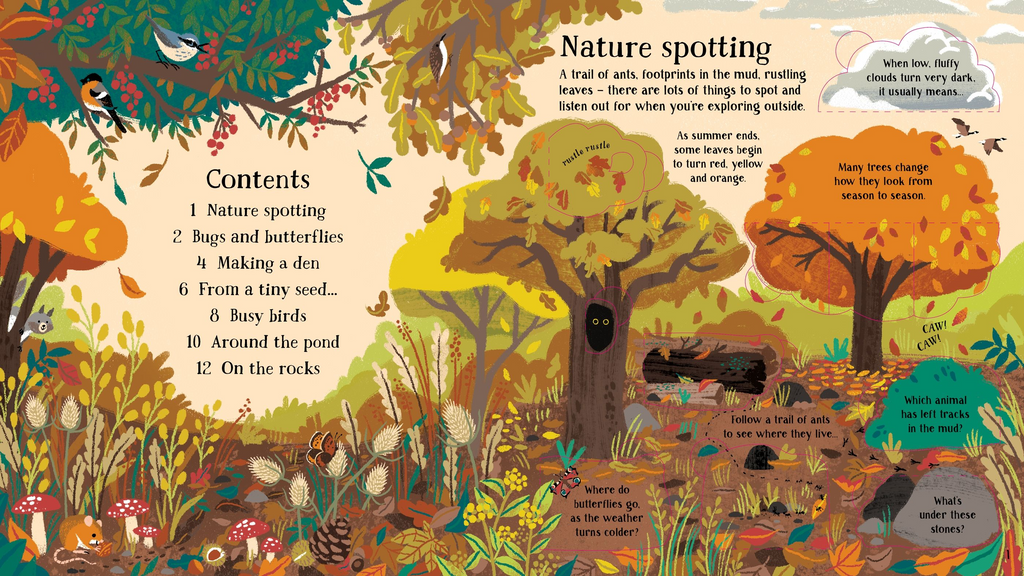 Look Inside Nature - Usborne
