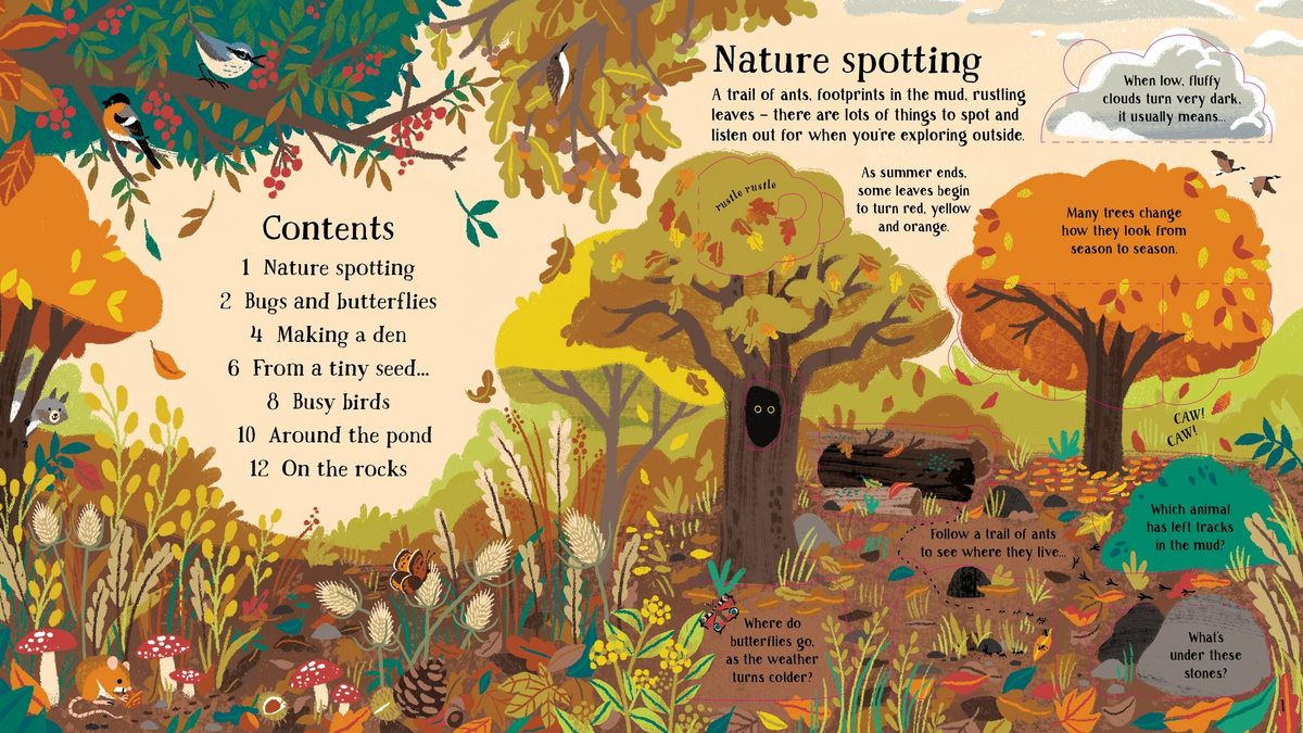 Look Inside Nature - Usborne