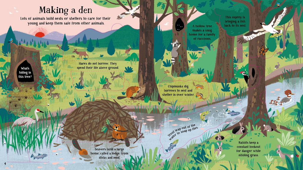 Look Inside Nature - Usborne