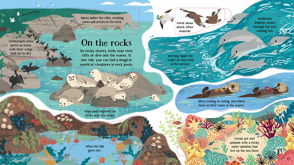 Look Inside Nature - Usborne