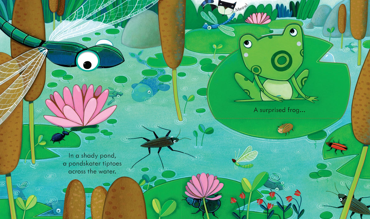 Peep Inside the Garden - Usborne