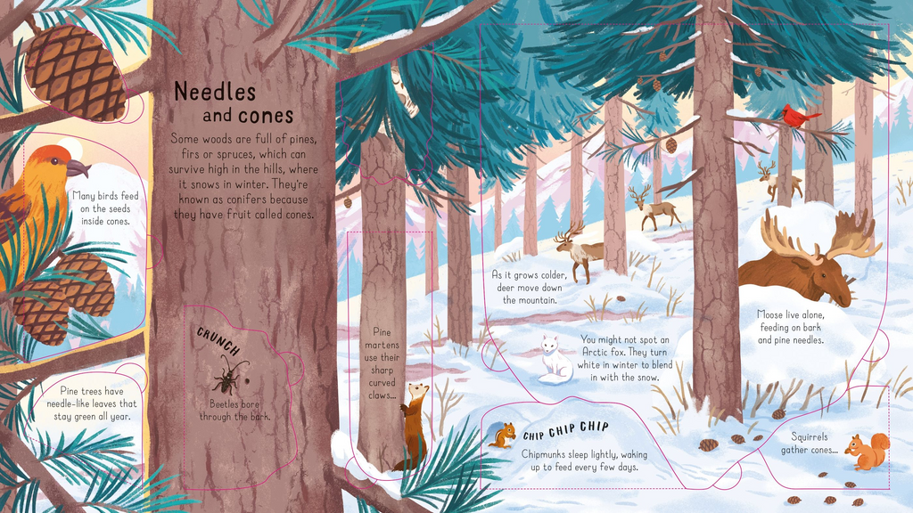 Look Inside the Woods - Usborne