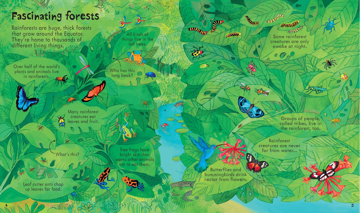 Look Inside Our World - Usborne