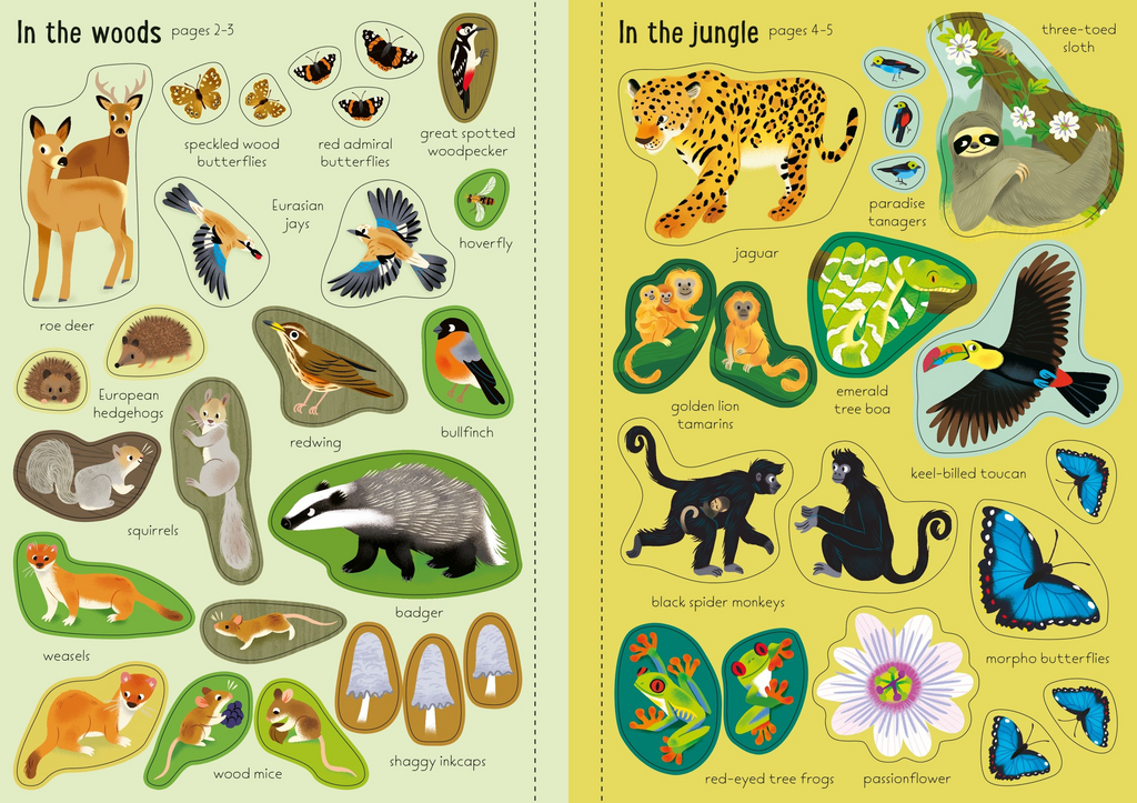 Little First Stickers Nature - Usborne