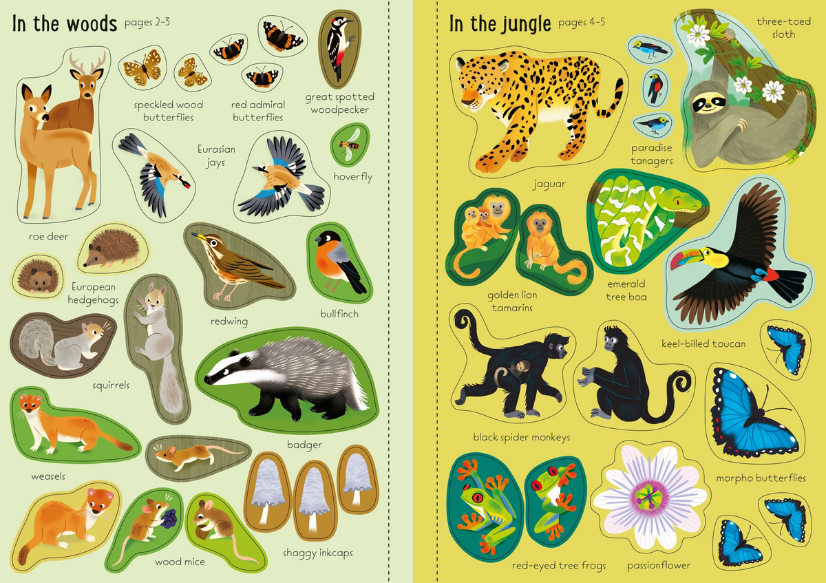 Little First Stickers Nature - Usborne