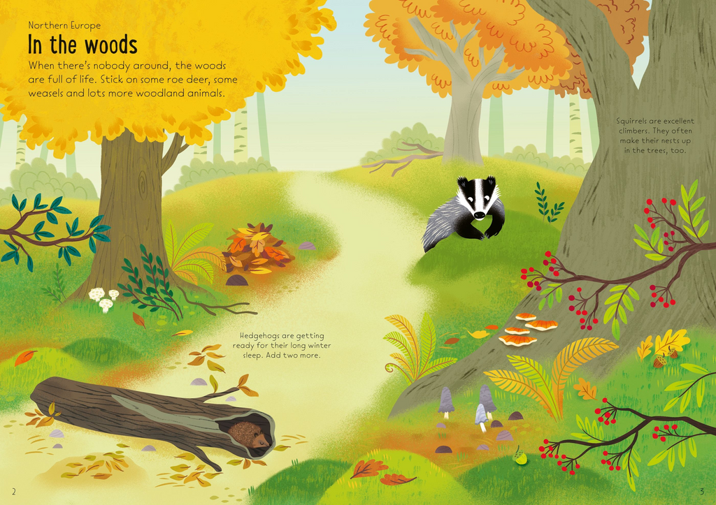 Little First Stickers Nature - Usborne