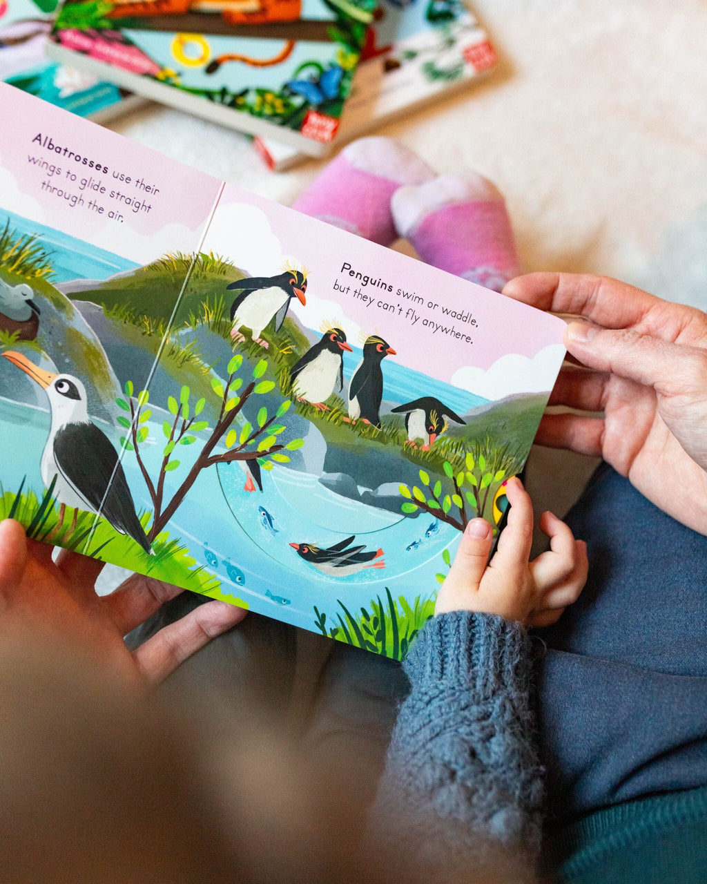 Big Outdoors for Little Explorers: Birds - Nosy Crow