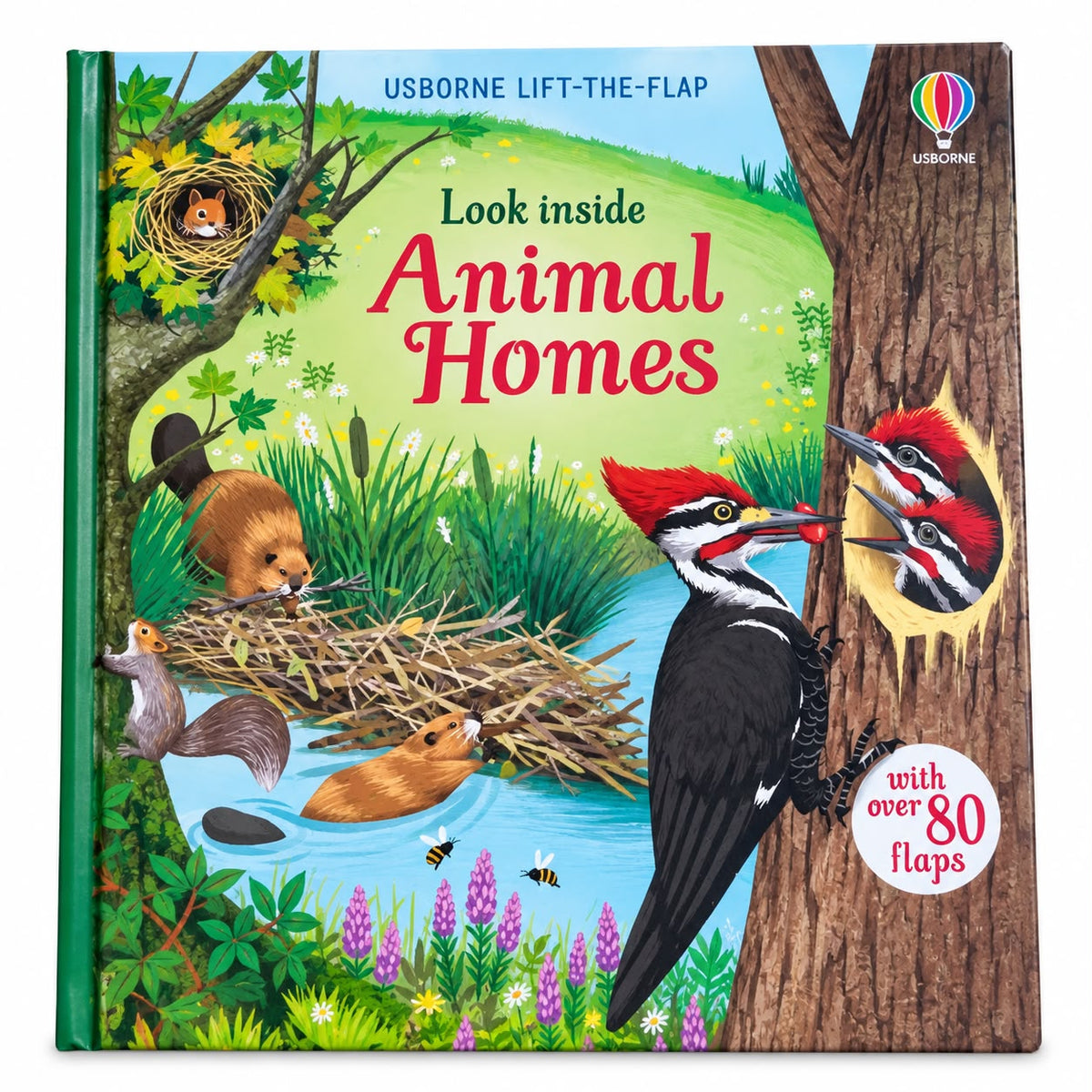 Look Inside Animal Homes - Usborne