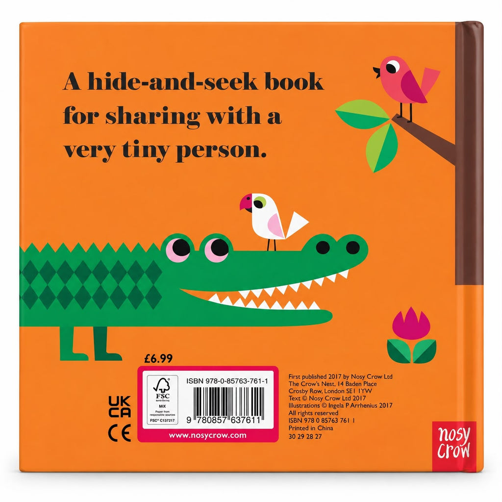 Where's Mr Lion? - Nosy Crow