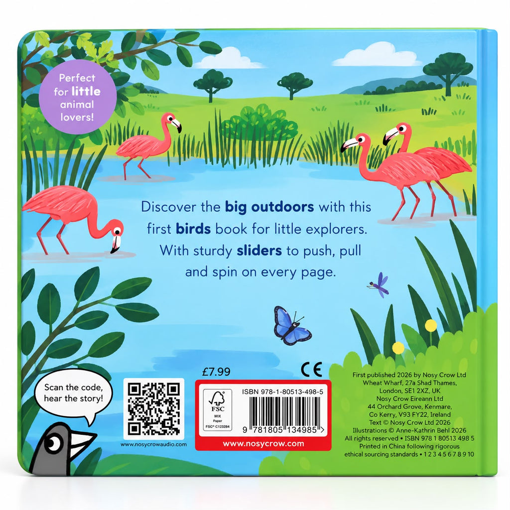 Big Outdoors for Little Explorers: Birds - Nosy Crow