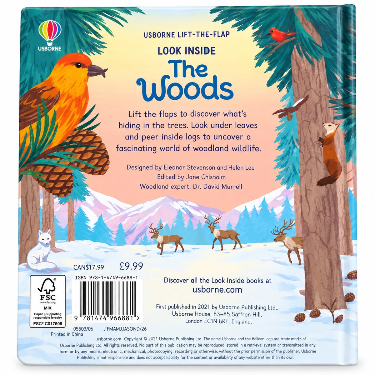 Look Inside the Woods - Usborne