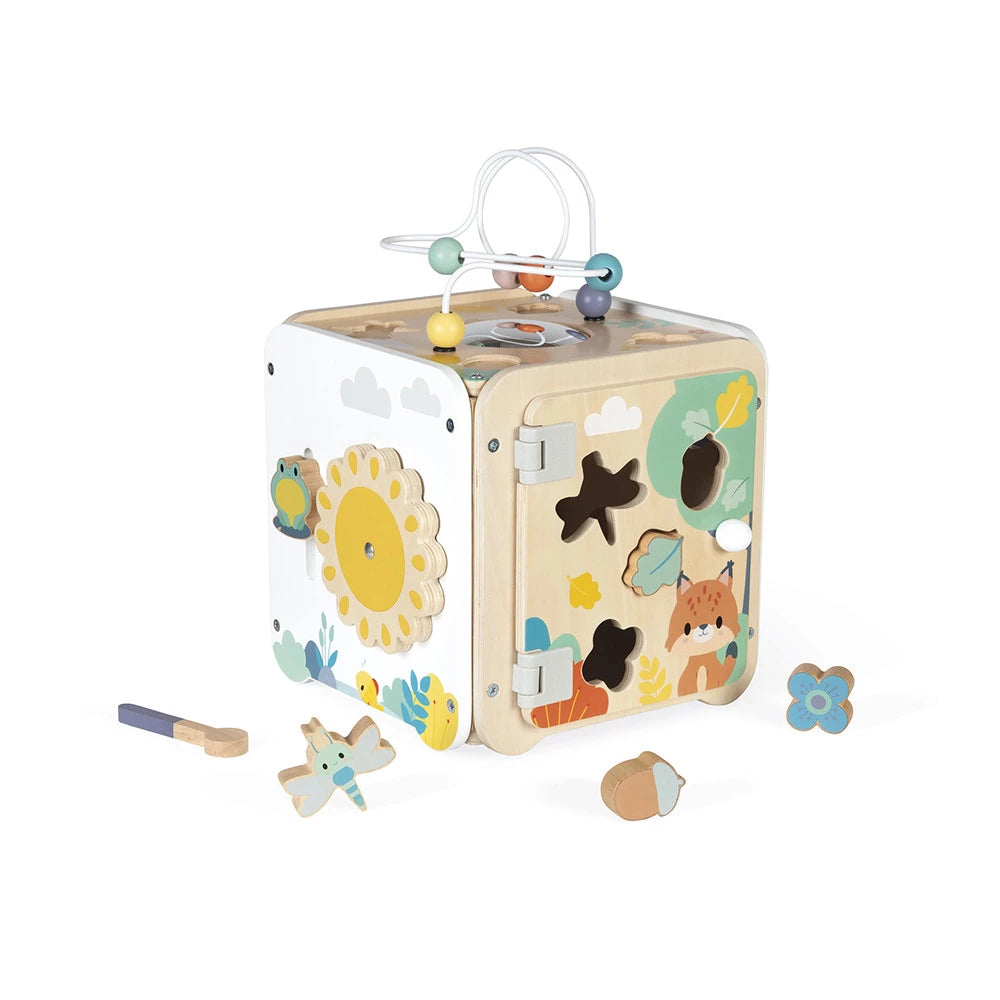 Pure Multi-Activity Cube - Janod
