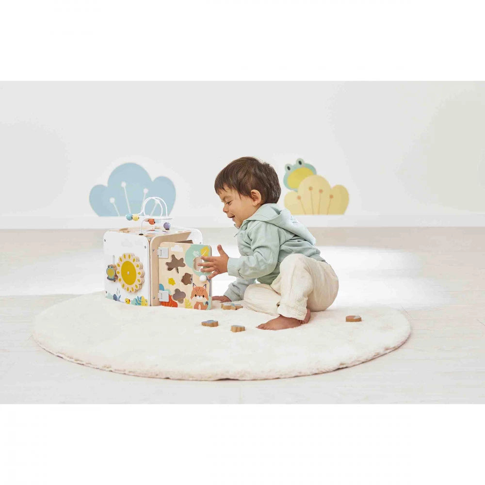 Pure Multi-Activity Cube - Janod