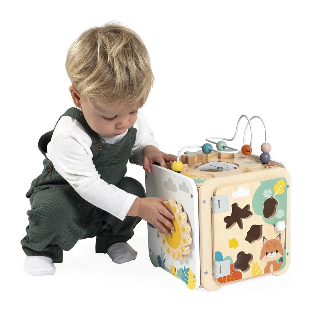 Pure Multi-Activity Cube - Janod