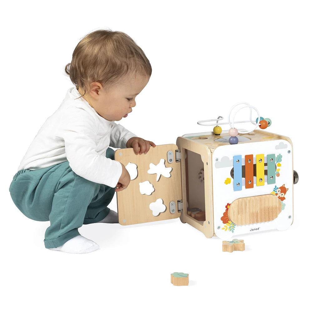 Pure Multi-Activity Cube - Janod