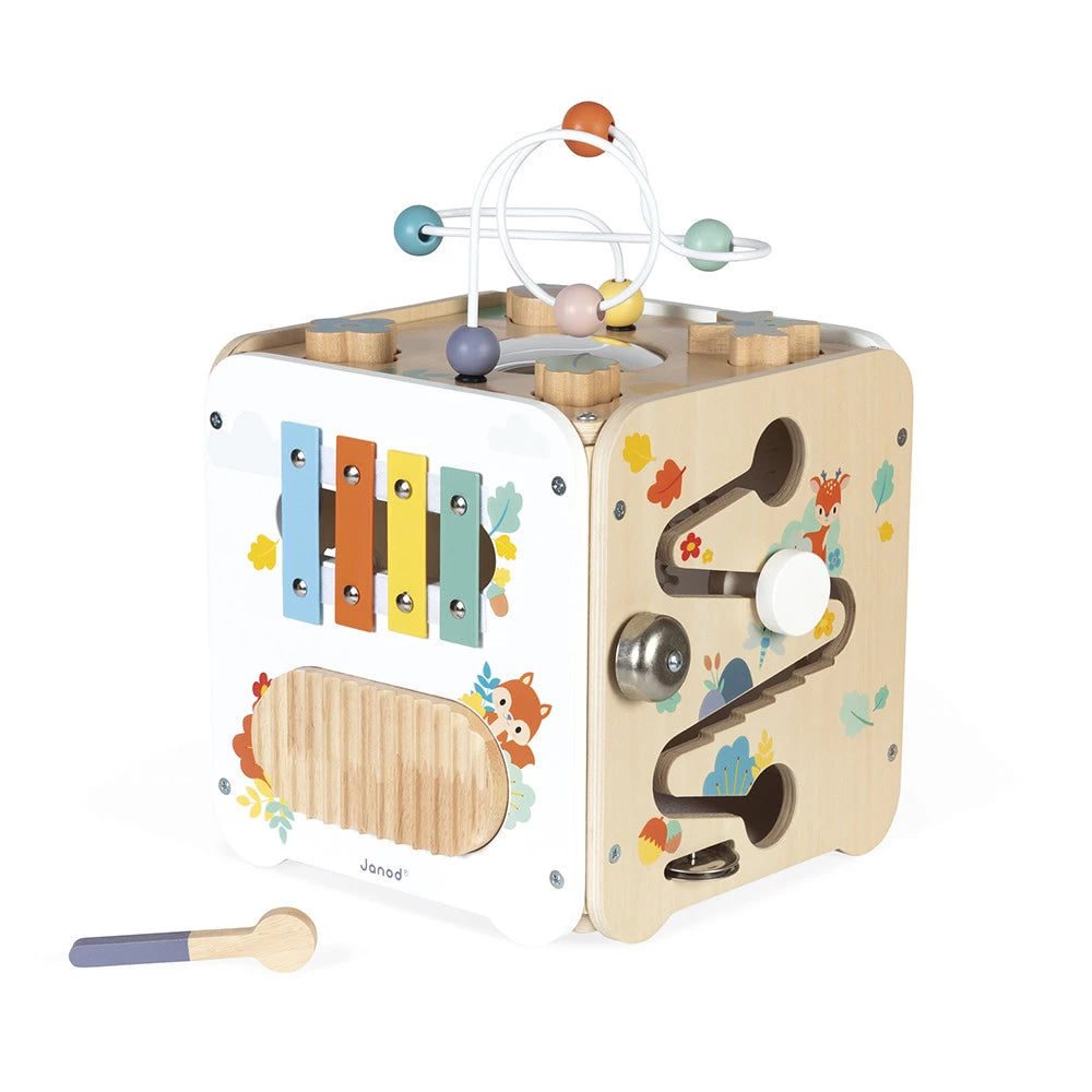 Pure Multi-Activity Cube - Janod