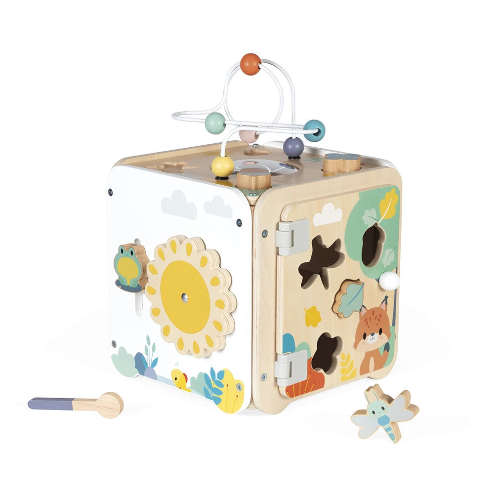 Pure Multi-Activity Cube - Janod