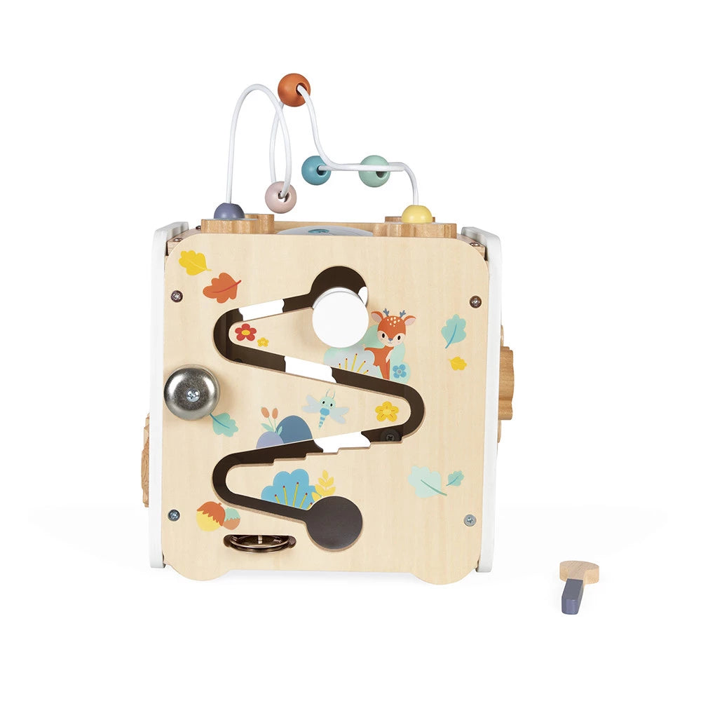 Pure Multi-Activity Cube - Janod