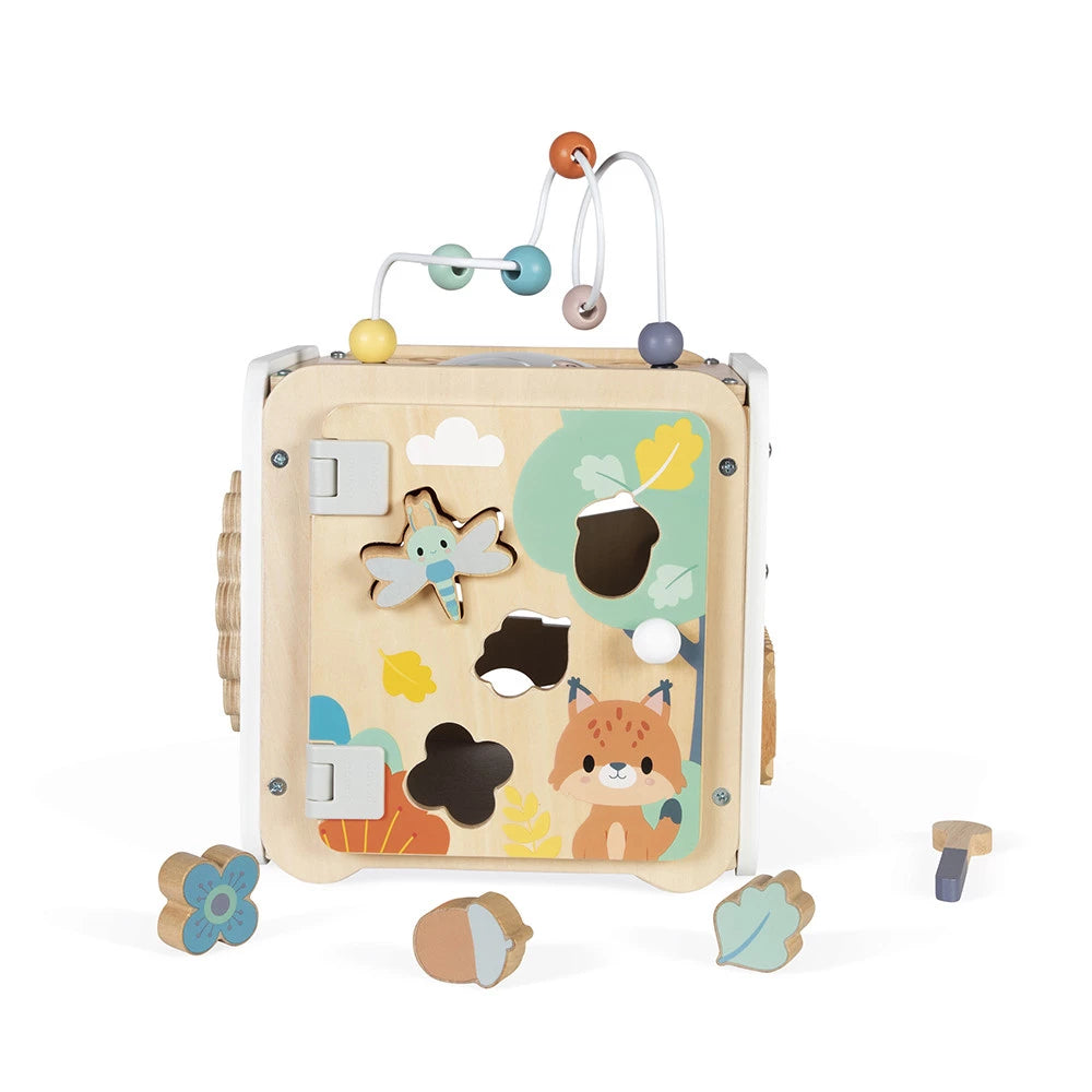 Pure Multi-Activity Cube - Janod