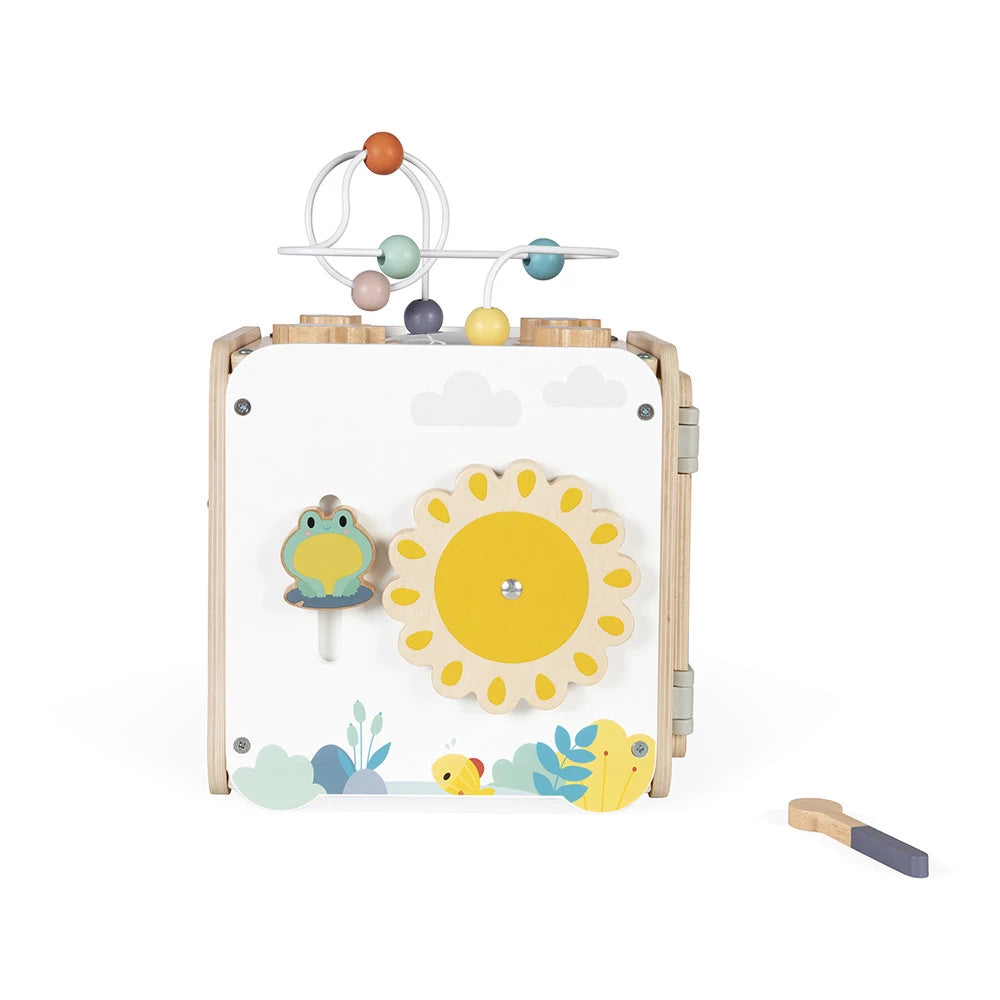 Pure Multi-Activity Cube - Janod