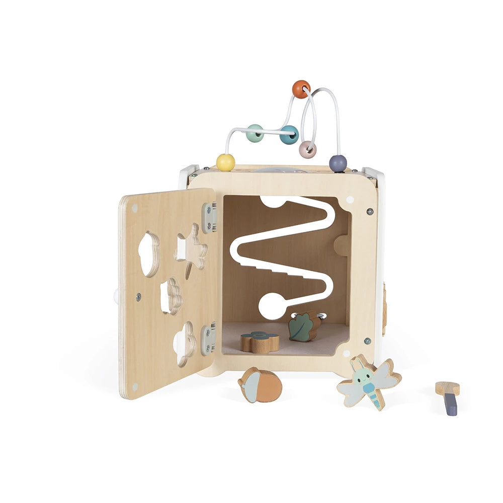 Pure Multi-Activity Cube - Janod