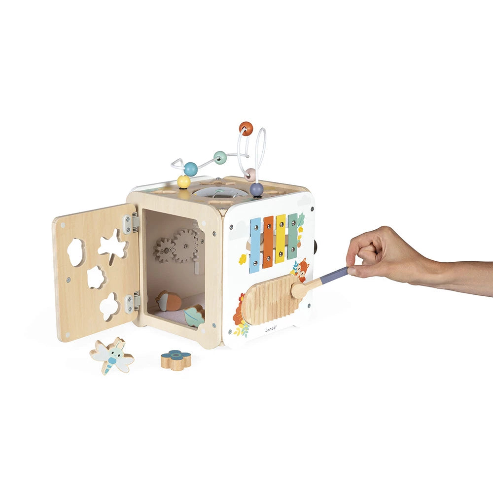 Pure Multi-Activity Cube - Janod