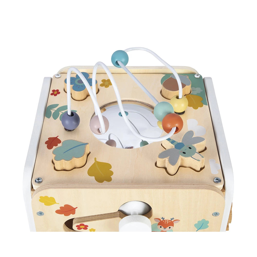 Pure Multi-Activity Cube - Janod