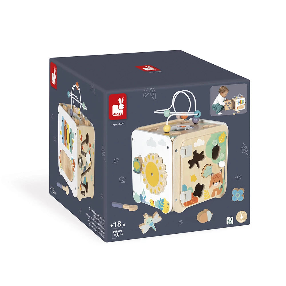 Pure Multi-Activity Cube - Janod