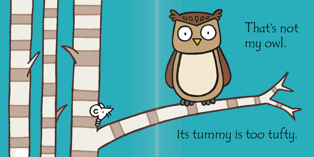 That's Not My Owl... - Usborne