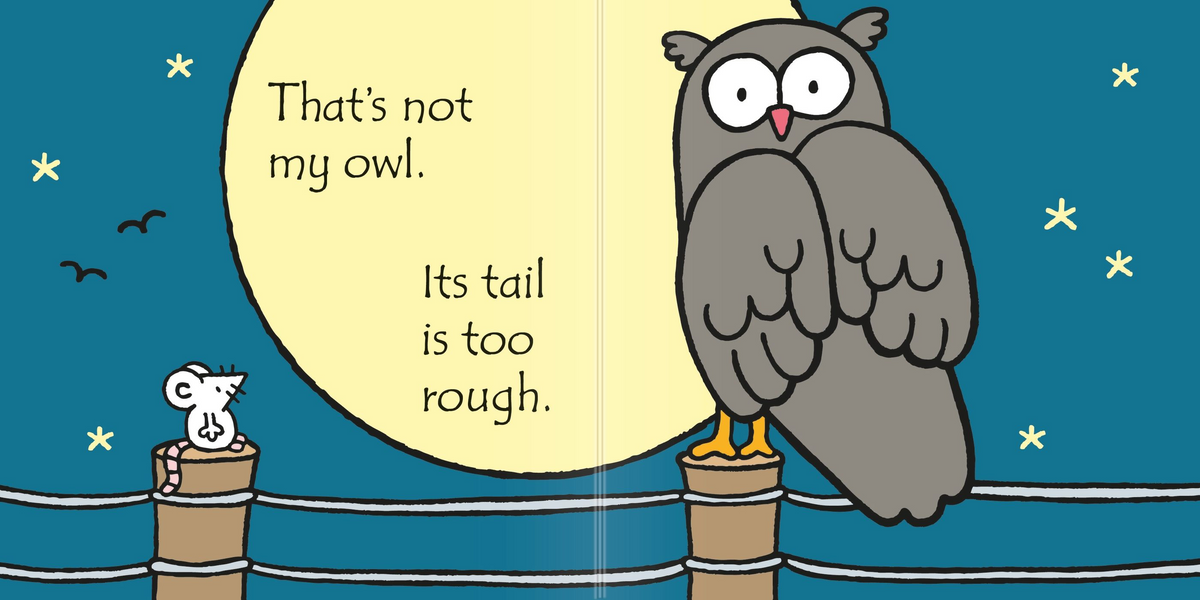 That's Not My Owl... - Usborne