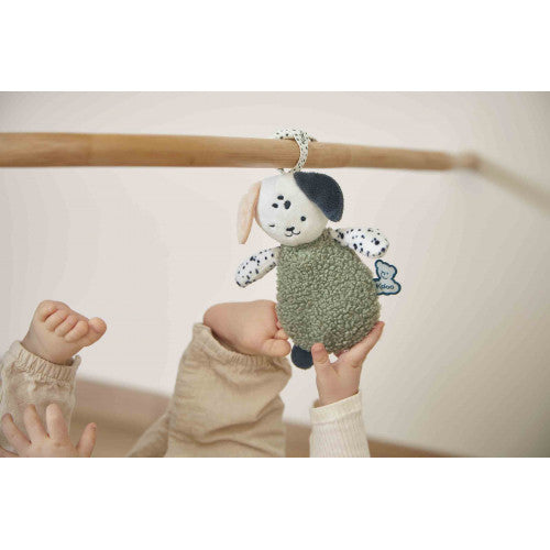 Sensory Puppies - Kaloo