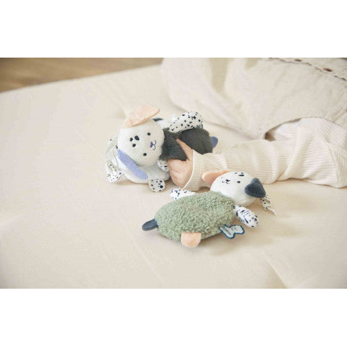 Sensory Puppies - Kaloo