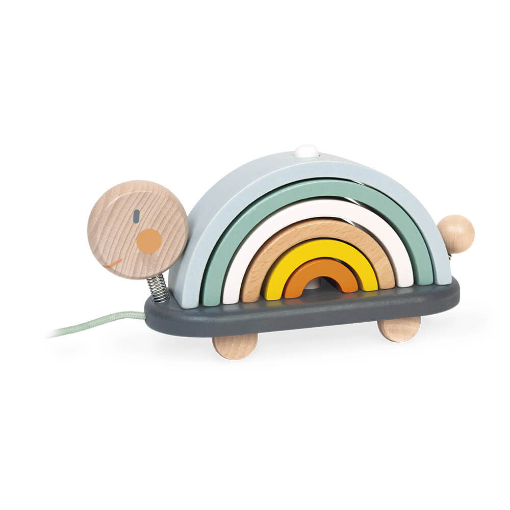 Rainbow Turtle - Janod