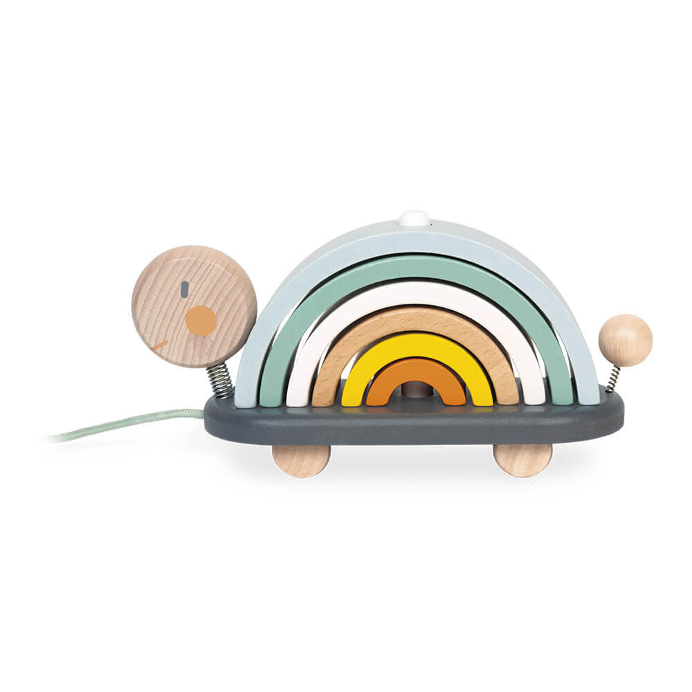 Rainbow Turtle - Janod