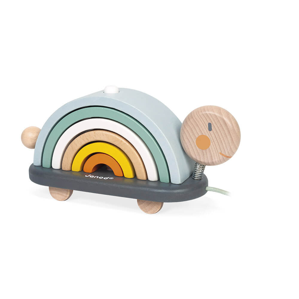 Rainbow Turtle - Janod