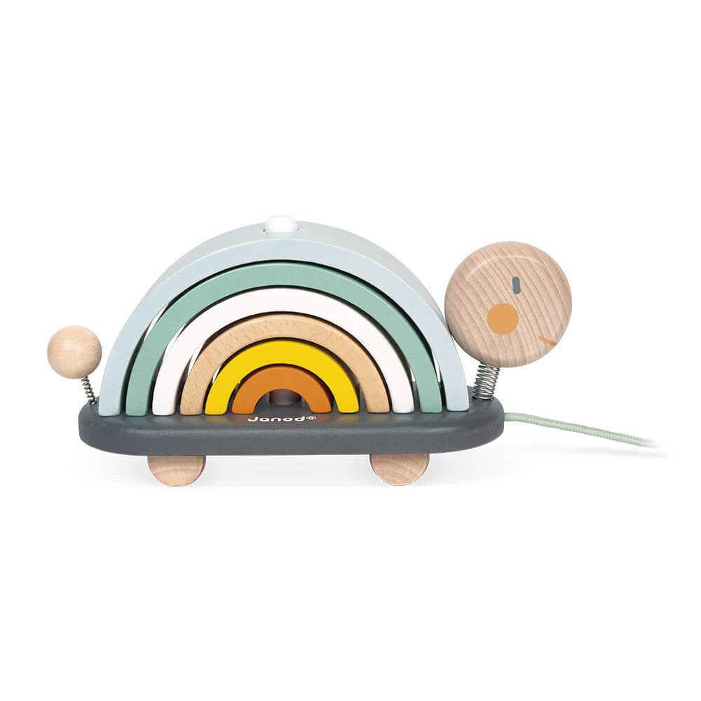 Rainbow Turtle - Janod
